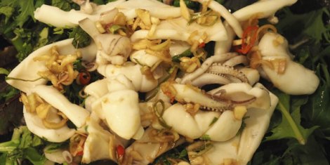 squidsaladL
