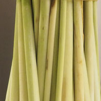 lemongrass