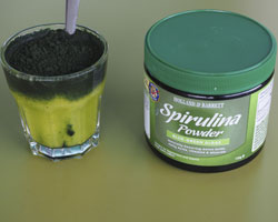 spirulina