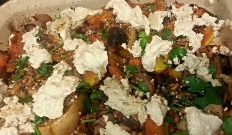 aviary_1422671087169