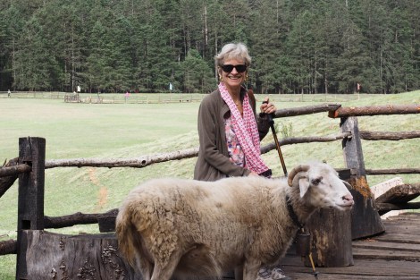 Vicky with sheep at Spruce meadow, Jade Dragon Snowy Mountain, Lijiang
