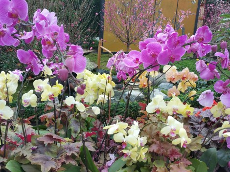 20160307_162938_resized