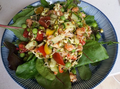 2017-07-15 13.02.40.jpg