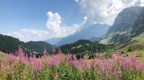 img_4484.jpg